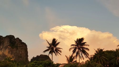 Low angle view of coconut palm trees against sky