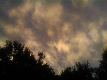 Low angle view of silhouette trees against sky