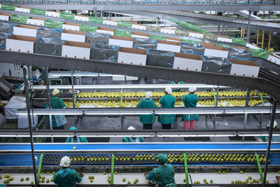 Women working in apple factory