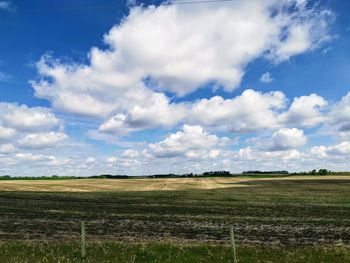 Scenic view of agricultural field against sky