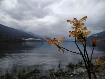 Scenic view of lake against sky during autumn