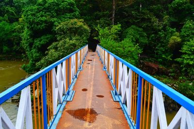 Footbridge amidst trees in forest