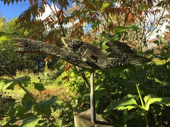 Low angle view of bird perching on tree against sky