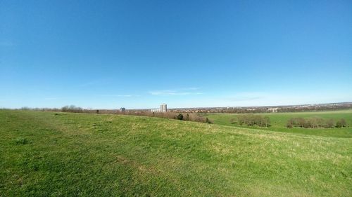 Scenic view of field against clear blue sky