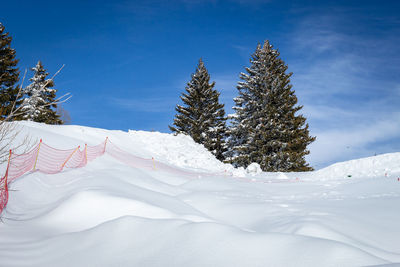 Snow covered land and trees against sky