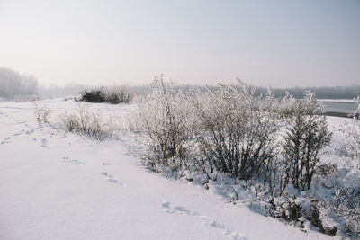 Scenic view of frozen lake against clear sky