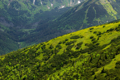 High angle view of mountain range