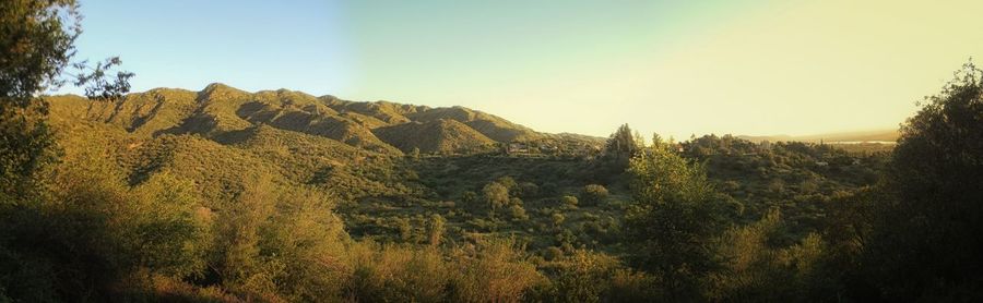 Scenic view of landscape against clear sky