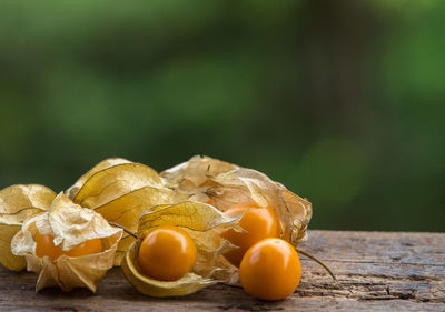 Close up of gooseberry