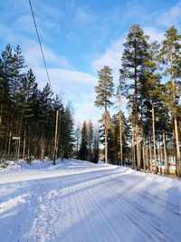 Snow covered trees against sky