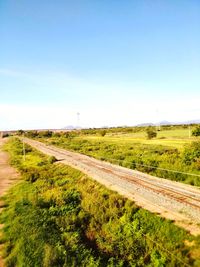 Scenic view of field against clear sky