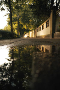 Surface level of road by buildings in city