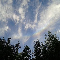 Low angle view of trees against cloudy sky