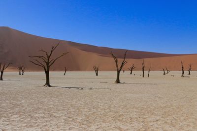 Scenic view of desert against clear blue sky