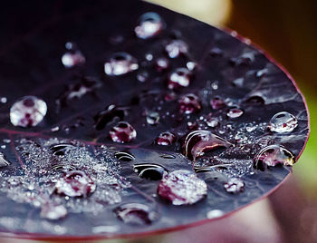 High angle view of water drops on glass