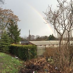 Scenic view of rainbow over agricultural field