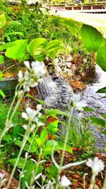 Plant growing in the dark