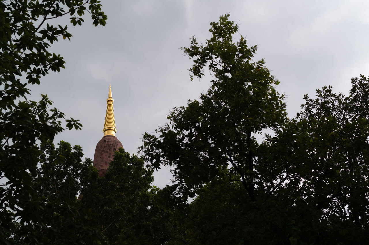 LOW ANGLE VIEW OF TREES AND BUILDING