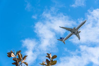 Low angle view of airplane flying against sky