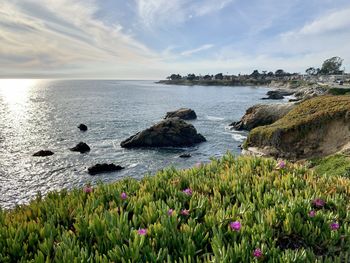 Scenic view of sea against sky