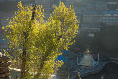 High angle view of tree by building against sky