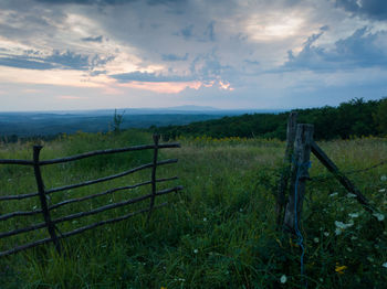 Scenic view of field against sky
