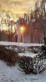 Snow covered field by trees against sky during sunset