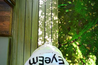 Information sign on tree trunk