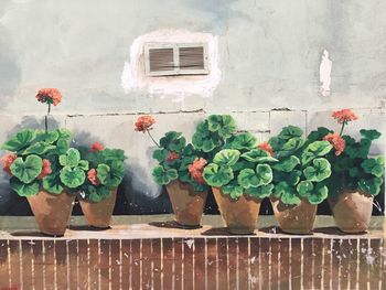 Potted plants on wall
