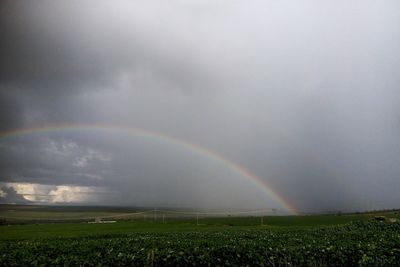 Scenic view of rainbow over field