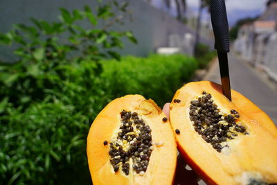 High angle view of fruits in plate