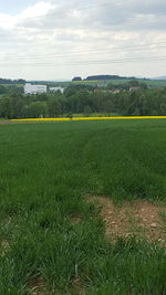 Scenic view of field against sky