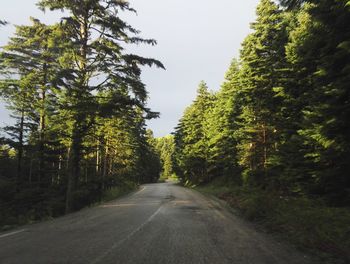 Road amidst trees in forest against clear sky