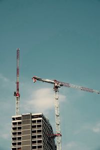 Low angle view of crane against sky