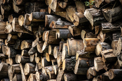 Full frame shot of logs in forest