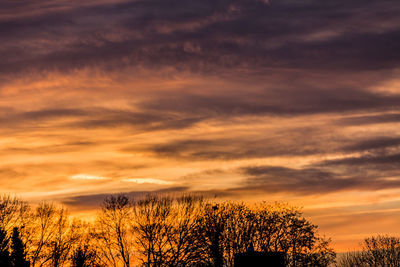 Low angle view of silhouette trees against orange sky