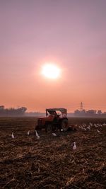 Scenic view of field against sky during sunset