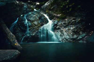 Scenic view of waterfall in forest