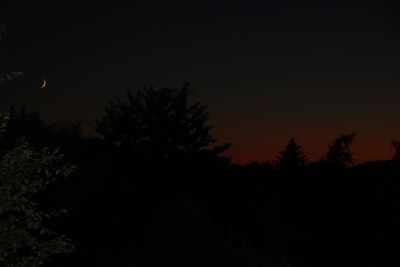 Low angle view of silhouette trees against sky at night