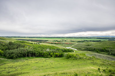 Scenic view of agricultural field against sky