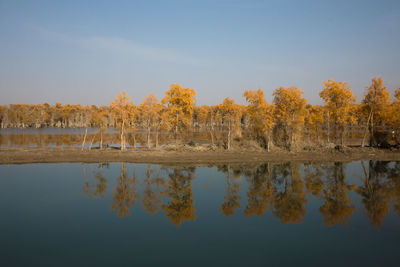 Reflection of trees in lake against sky during autumn