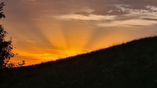 Silhouette plants on field against dramatic sky during sunset