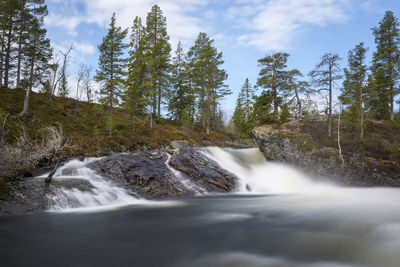 Scenic view of waterfall in forest against sky