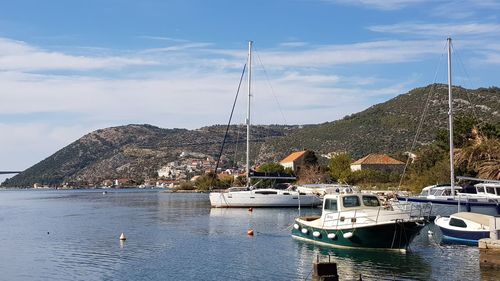 Sailboats moored in bay