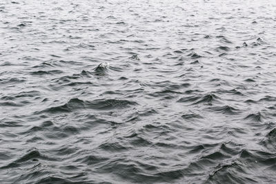 Full frame shot of rippled water