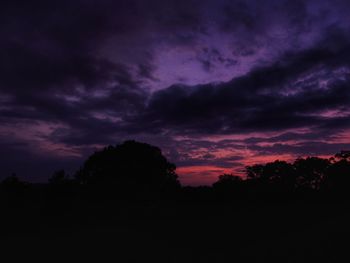 Silhouette of trees against dramatic sky