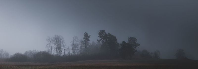 Trees on field against sky