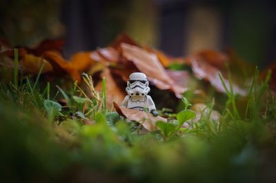 Close-up of figurine on field