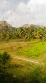 View of trees on landscape against sky