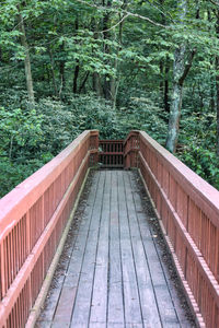 Wooden footbridge amidst trees in forest